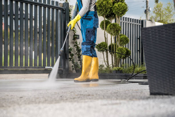 Best Vinyl Siding Pressure Washing in Florissant, MO